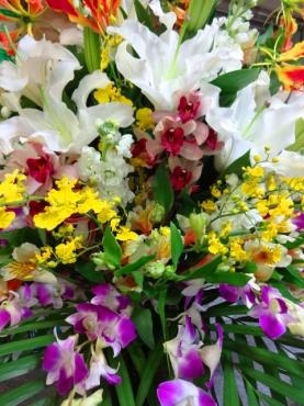 久しぶりに転んだ！｜「ポピー」　（京都府八幡市の花キューピット加盟店 花屋）のブログ