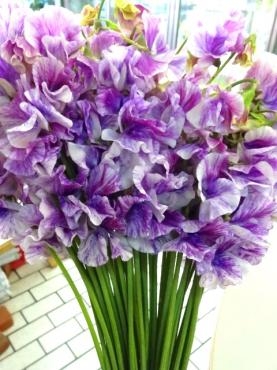 春の切り花ぞくぞく入荷！｜「ポピー」　（京都府八幡市の花キューピット加盟店 花屋）のブログ
