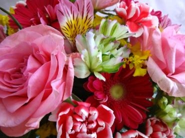 母の日特別送料無料（一部）｜「ポピー」　（京都府八幡市の花キューピット加盟店 花屋）のブログ