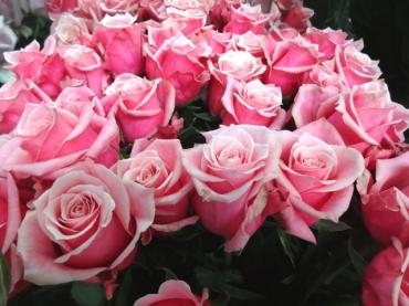 オススメの切り花｜「ポピー」　（京都府八幡市の花キューピット加盟店 花屋）のブログ