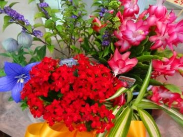 明日９月１８日は敬老の日｜「ポピー」　（京都府八幡市の花キューピット加盟店 花屋）のブログ