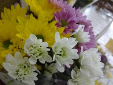 なぜお彼岸にお墓参りに行くのか？｜「ポピー」　（京都府八幡市の花キューピット加盟店 花屋）のブログ