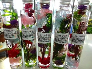 営業時間変更のお知らせ｜「ポピー」　（京都府八幡市の花キューピット加盟店 花屋）のブログ