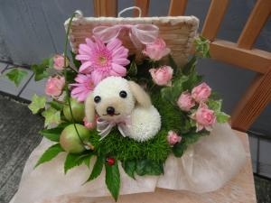 アニマルフラワー・ワンコです｜「緑花園」　（徳島県吉野川市の花キューピット加盟店 花屋）のブログ