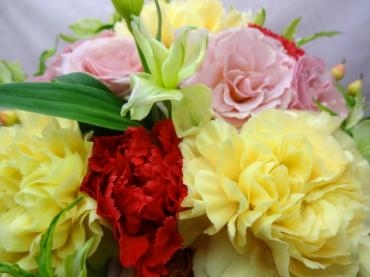 早期ご予約キャンペーン｜「ポピー」　（京都府八幡市の花キューピット加盟店 花屋）のブログ