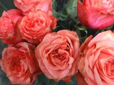 同じ場所に同じ商品のご注文が来た時に悩む・・・・・｜「ポピー」　（京都府八幡市の花キューピット加盟店 花屋）のブログ