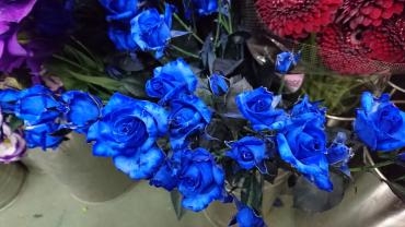 本日は切花が入荷いたしました～☆｜「フラワーショップ花よど」　（熊本県天草市の花キューピット加盟店 花屋）のブログ