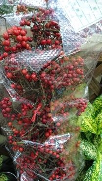 切り花入荷情報☆｜「フラワーショップ花よど」　（熊本県天草市の花キューピット加盟店 花屋）のブログ