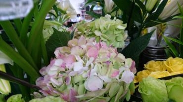本日の切り花☆｜「フラワーショップ花よど」　（熊本県天草市の花キューピット加盟店 花屋）のブログ