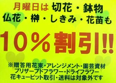 月曜日はマツモトくずは北店にて10％割引｜「ポピー」　（京都府八幡市の花キューピット加盟店 花屋）のブログ