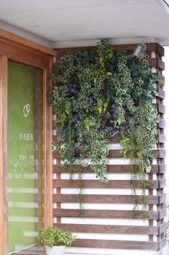 壁面緑化｜「フラワーショップ花よど」　（熊本県天草市の花キューピット加盟店 花屋）のブログ
