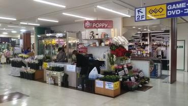 ポピーのファミレやわた店オープン致しました!!｜「ポピー」　（京都府八幡市の花キューピット加盟店 花屋）のブログ