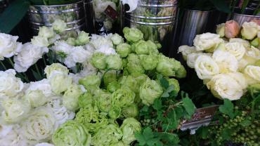切り花入荷しております☆｜「フラワーショップ花よど」　（熊本県天草市の花キューピット加盟店 花屋）のブログ