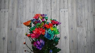 切り花入荷しました☆｜「フラワーショップ花よど」　（熊本県天草市の花キューピット加盟店 花屋）のブログ