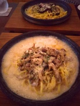 猫カフェに行ってきました｜「ポピー」　（京都府八幡市の花キューピット加盟店 花屋）のブログ