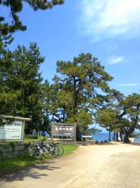 福井県敦賀の気比の松原に海水浴に行ってきました。｜「ポピー」　（京都府八幡市の花キューピット加盟店 花屋）のブログ
