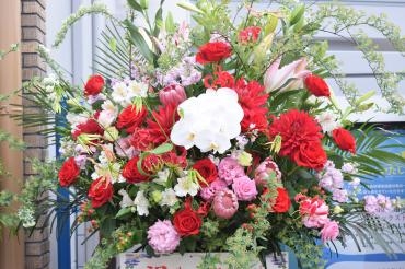 開店お祝いスタンド｜「フラワーショップ花よど」　（熊本県天草市の花キューピット加盟店 花屋）のブログ