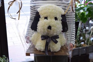 ローズドッグ♪｜「フラワーショップ花よど」　（熊本県天草市の花キューピット加盟店 花屋）のブログ