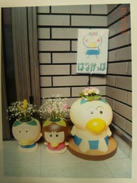 はなかっぱをお買い上げ頂いた方に｜「ポピー」　（京都府八幡市の花キューピット加盟店 花屋）のブログ