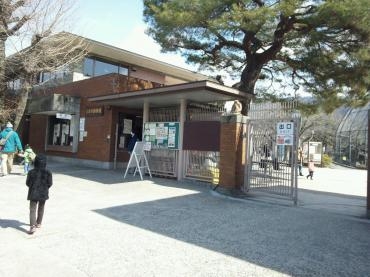 続、京都観光｜「ポピー」　（京都府八幡市の花キューピット加盟店 花屋）のブログ