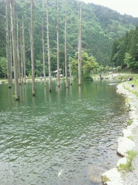 釣りに行ってきた話｜「ポピー」　（京都府八幡市の花キューピット加盟店 花屋）のブログ