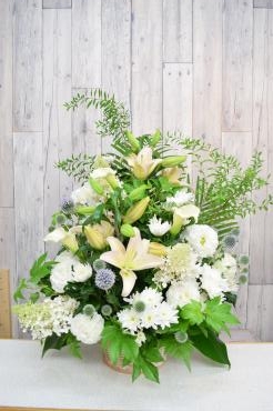 久しぶりの更新です。｜「フラワーショップ花よど」　（熊本県天草市の花キューピット加盟店 花屋）のブログ