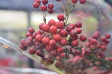 沢山のお花が入荷しております♪｜「フラワーショップ花よど」　（熊本県天草市の花キューピット加盟店 花屋）のブログ