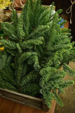 季節感たっぷりのお花が入荷しています～天草市の花屋　フラワーショップ花よど～｜「フラワーショップ花よど」　（熊本県天草市の花キューピット加盟店 花屋）のブログ