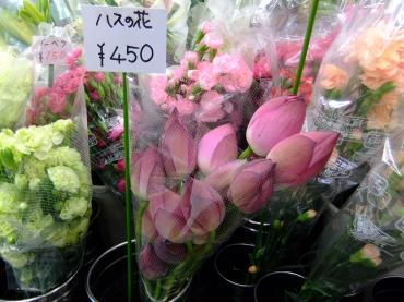 ハスの花入荷｜「ポピー」　（京都府八幡市の花キューピット加盟店 花屋）のブログ