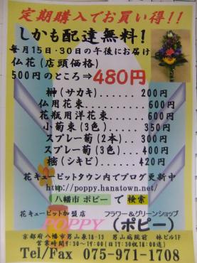 お花の定期購入でお買い得（配達無料）｜「ポピー」　（京都府八幡市の花キューピット加盟店 花屋）のブログ