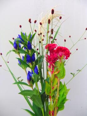 明日はお月見｜「ポピー」　（京都府八幡市の花キューピット加盟店 花屋）のブログ