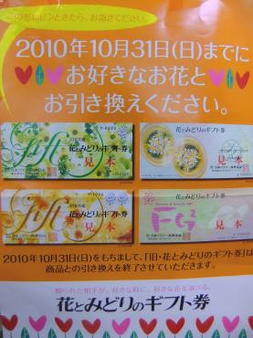 花と緑のギフト券は今日まで｜「ポピー」　（京都府八幡市の花キューピット加盟店 花屋）のブログ