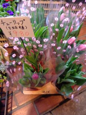 チューリップとムスカリ｜「ポピー」　（京都府八幡市の花キューピット加盟店 花屋）のブログ