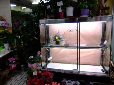 今年も大変お世話になりました｜「ポピー」　（京都府八幡市の花キューピット加盟店 花屋）のブログ