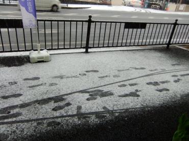 京都ただいま大雪｜「ポピー」　（京都府八幡市の花キューピット加盟店 花屋）のブログ