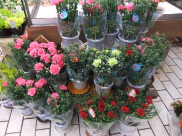 アカン！いそがしっ！｜「ポピー」　（京都府八幡市の花キューピット加盟店 花屋）のブログ