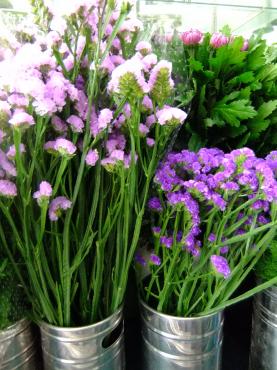 産地は高冷地に移動｜「ポピー」　（京都府八幡市の花キューピット加盟店 花屋）のブログ