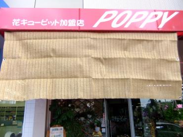 日よけ入荷｜「ポピー」　（京都府八幡市の花キューピット加盟店 花屋）のブログ