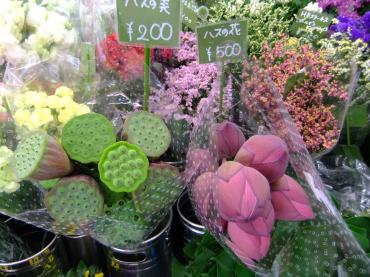 お盆用花材ぼちぼち入荷｜「ポピー」　（京都府八幡市の花キューピット加盟店 花屋）のブログ