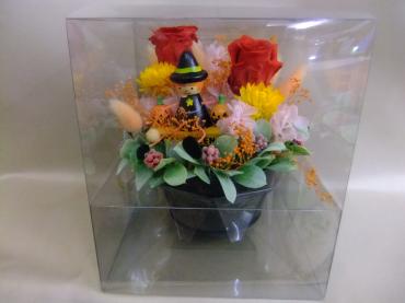 嵐の前の静けさか｜「ポピー」　（京都府八幡市の花キューピット加盟店 花屋）のブログ