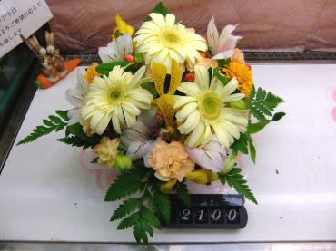 花育｜「ポピー」　（京都府八幡市の花キューピット加盟店 花屋）のブログ