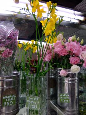 早すぎフリージアの切り花入荷｜「ポピー」　（京都府八幡市の花キューピット加盟店 花屋）のブログ