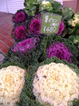 えらいことになってしまった～｜「ポピー」　（京都府八幡市の花キューピット加盟店 花屋）のブログ