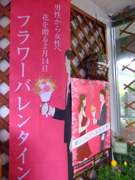 フラワーバレンタイン(指輪型の蘭）｜「ポピー」　（京都府八幡市の花キューピット加盟店 花屋）のブログ