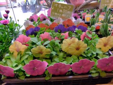 明日からお彼岸スタート｜「ポピー」　（京都府八幡市の花キューピット加盟店 花屋）のブログ