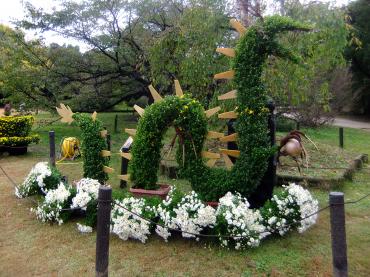 京都府立植物園に行きました｜「ポピー」　（京都府八幡市の花キューピット加盟店 花屋）のブログ