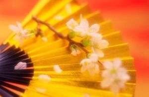 お正月用のお花を数多く取りそろえています！！｜「フロリストシャイン」　（大阪府大阪市淀川区の花キューピット加盟店 花屋）のブログ