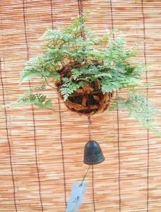 爽やか！！｜「フロリストシャイン」　（大阪府大阪市淀川区の花キューピット加盟店 花屋）のブログ