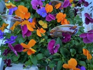 綺麗なお花が楽しめますヨ！！｜「フロリストシャイン」　（大阪府大阪市淀川区の花キューピット加盟店 花屋）のブログ