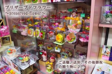 枯れない花々たち・・・・～天草市の花屋　フラワーショップ花よど～｜「フラワーショップ花よど」　（熊本県天草市の花キューピット加盟店 花屋）のブログ